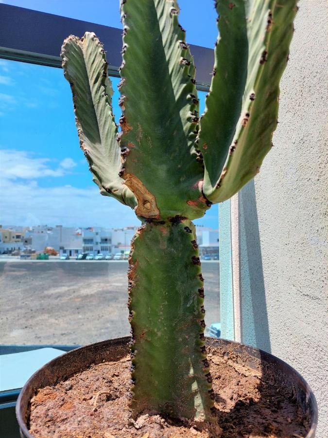 Appartamento Deep Blue Cotillo III By Sea You There Fuerteventura Esterno foto